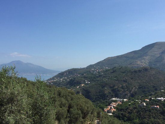 Il Casale del Mirto