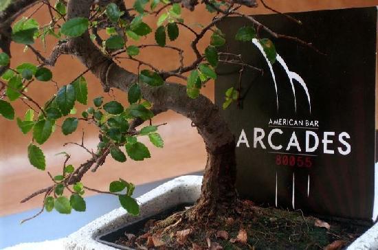 Arcades 80055