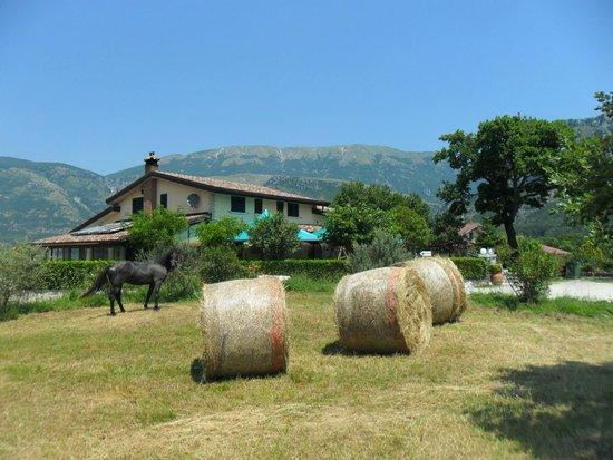 Osteria Gizzi