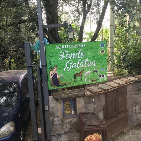 Agriturismo Galatea