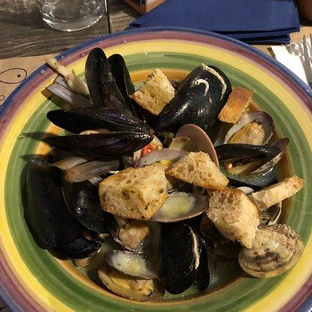 O' Povero Pesce