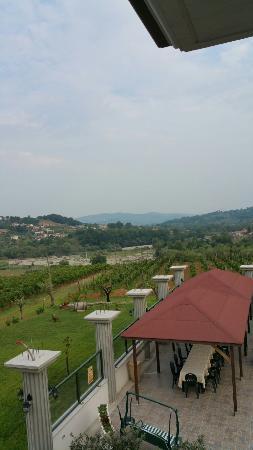 Tenuta Tosi