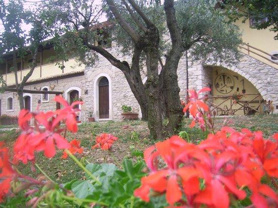 Agriturismo Il Vecchio Casale