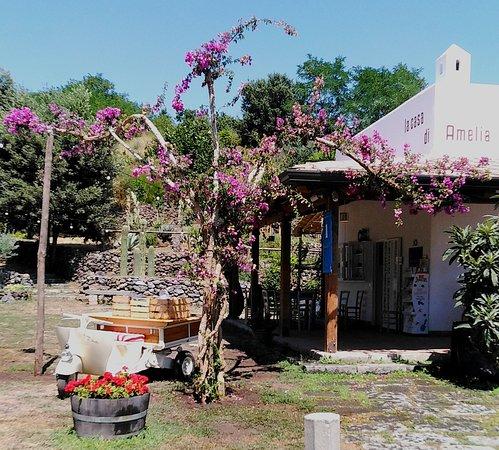 La Casa Di Amelia