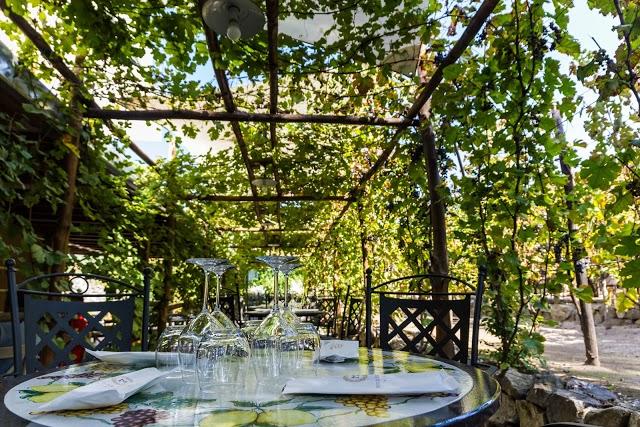 Bosco de Medici Winery