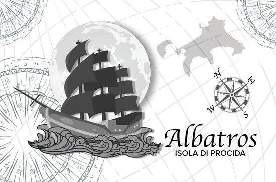 Albatros