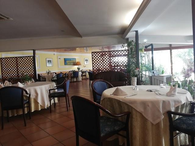 Oasi