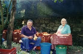 l'Azienda Agrituristica "La Masseria"
