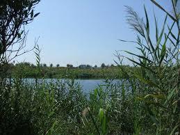 Parco Degli Uccelli