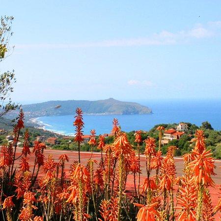 Il Poggio del Cardinale