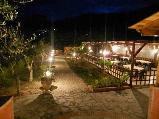 La Rana