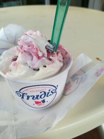 Frudisi