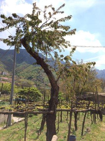 Azienda Agrituristica Mare e Monte