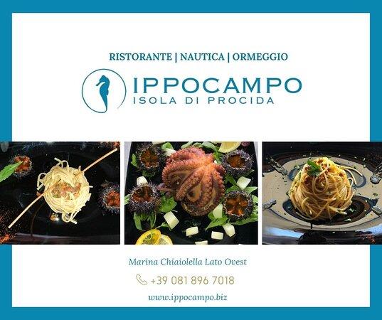 Ippocampo S.r.l.