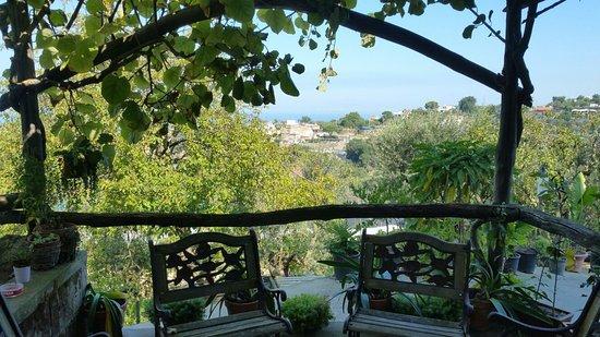 La Masseria Farm Experience
