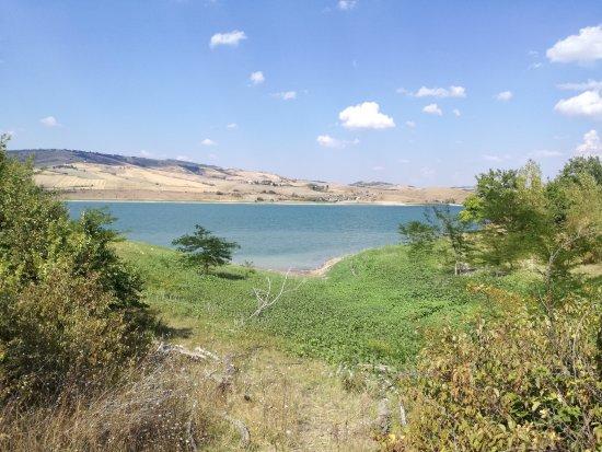 Oasi WWF Lago di Conza