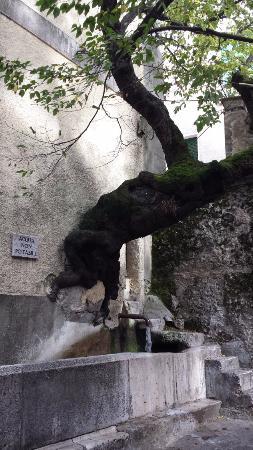 Fontana del Gavitone