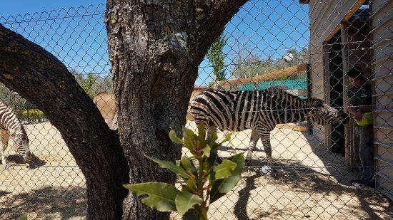 Zoo delle Maitine