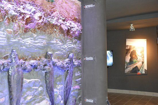 MIdA Museo Geologico