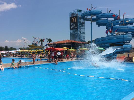 Parco Acquatico Ditellandia