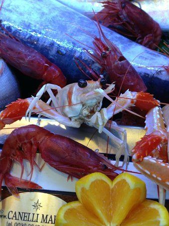 Le Delizie del Mare